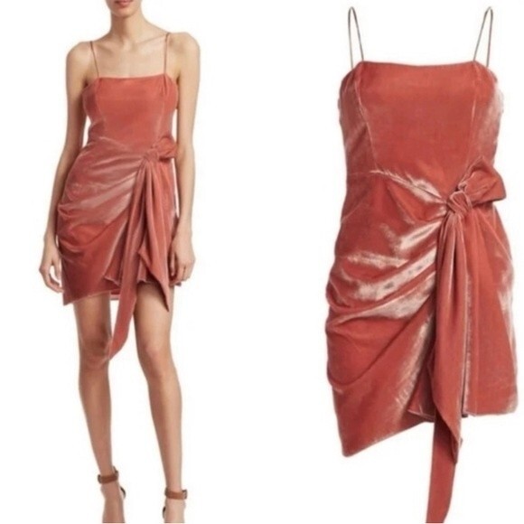 Cinq A Sept pink spaghetti strap mini cocktail semiformal drsss velvet texture - Picture 2 of 12